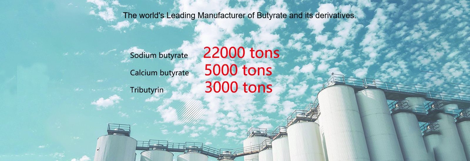 Polvo del butirato del sodio