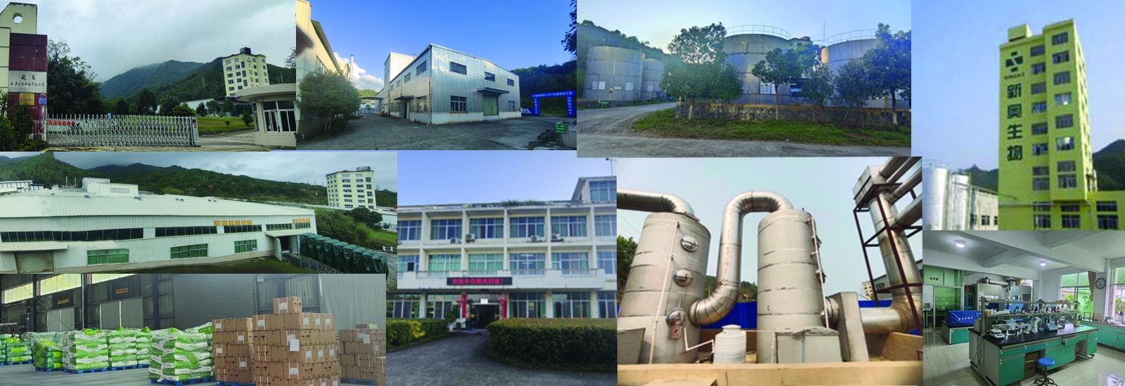 Butirato de cadena corto de los ácidos grasos