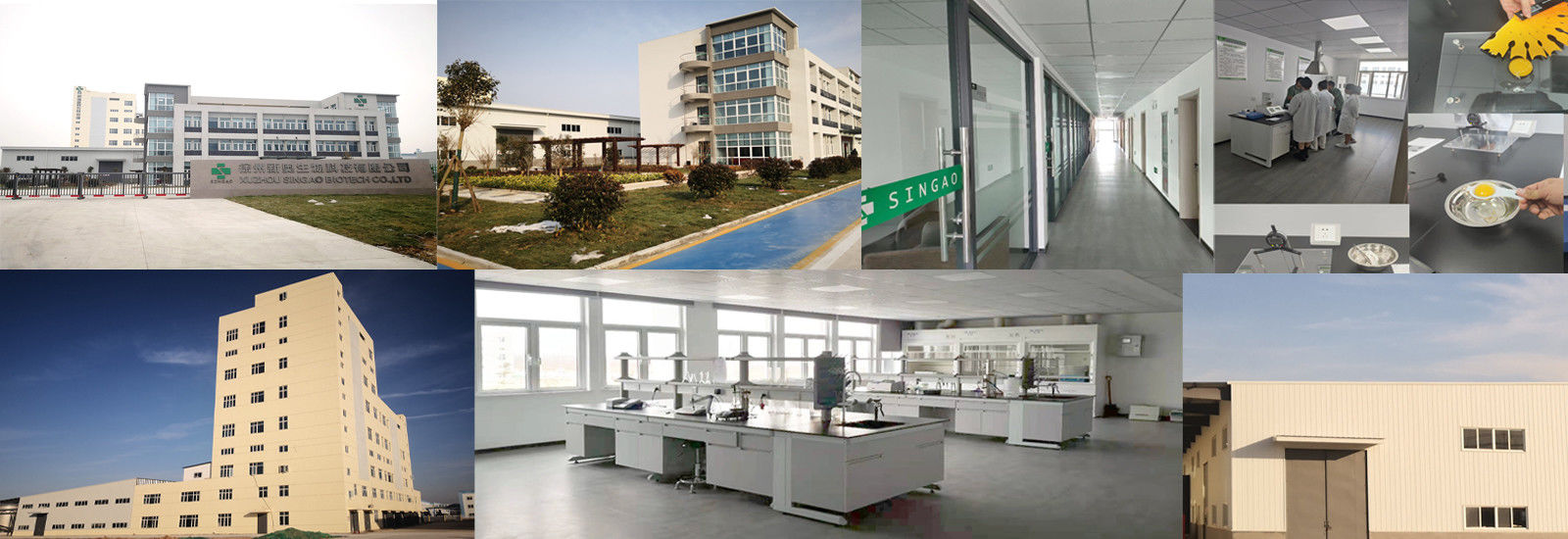 Butirato revestido del sodio