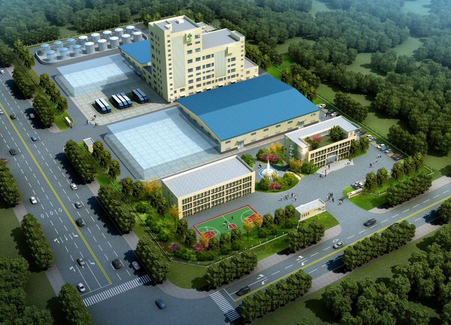 Singao (Xiamen) Agribusiness Development Co., Ltd. línea de producción de fábrica