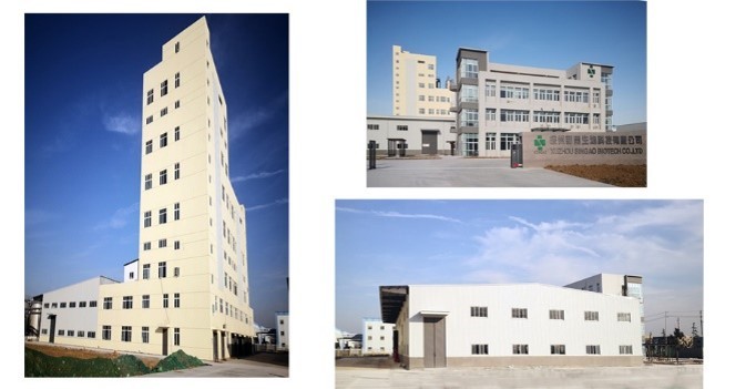Singao (Xiamen) Agribusiness Development Co., Ltd. línea de producción de fábrica