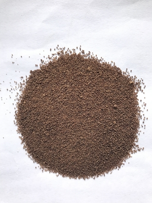 Probiótico de Clostridium butyricum